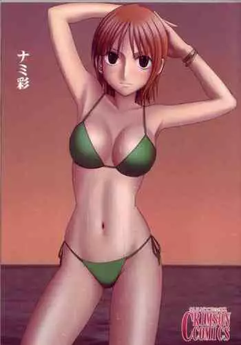 (C75) [Crimson (Carmine)] Hebi-hime (One Piece) [Digital]