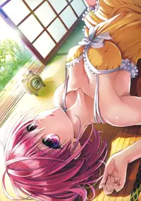 [Yabuki Kentaro] To Love-Ru -Trouble- Darkness Artbook Harem Gold