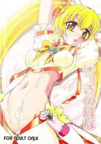 (C80) [Yokoshimaya. (Yokoshima Takemaru)] Erikon (Heartcatch Precure!)