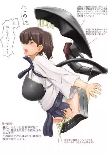 Shimacchau Wa-san