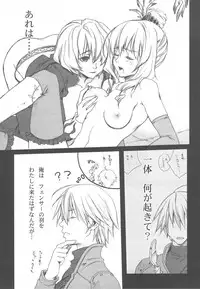 (C76) [Akai Tsubasa (Tachibana Chata)] .001 (Fantasy Earth ZERO)