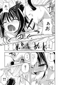 COMIC RiN 2011-04