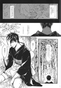 Silver Dream (Gintama)