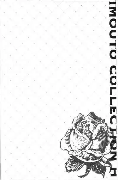 IMOUTO COLLECTION H