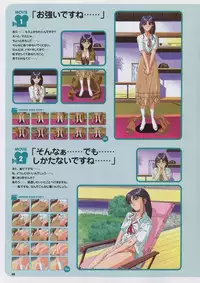 Super Real Mahjong Visual Fan Book Perfect Collection