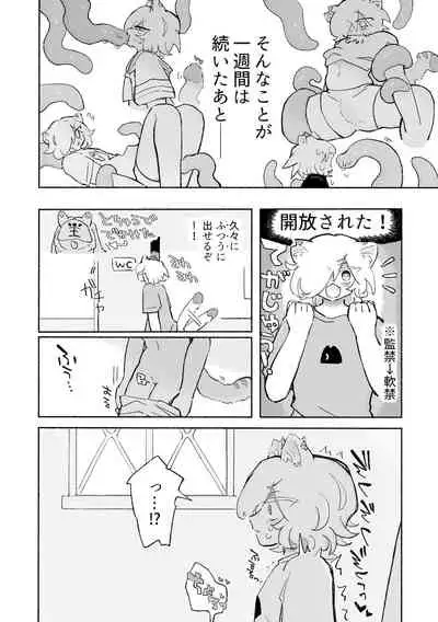 ねこちゃんはきゅうすいき