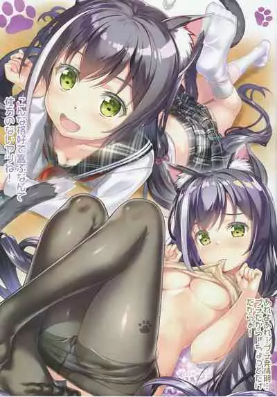 Bisyokuden no Full:Course