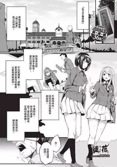 COMIC BAVEL 2024-07