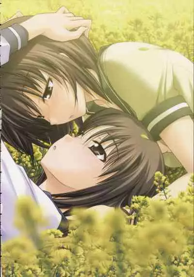 Shin Ringetsu Visual Fanbook