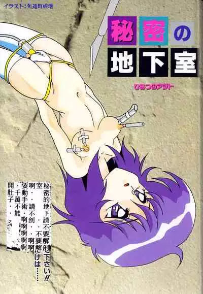 Himitsu no Chikashitsu Vol.1