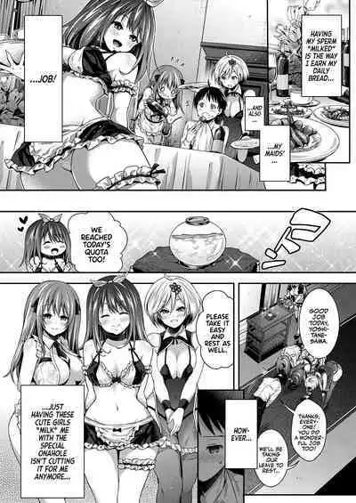 Harem Maid no Damedame Ecchi | Kinky Sex with My Maid Harem