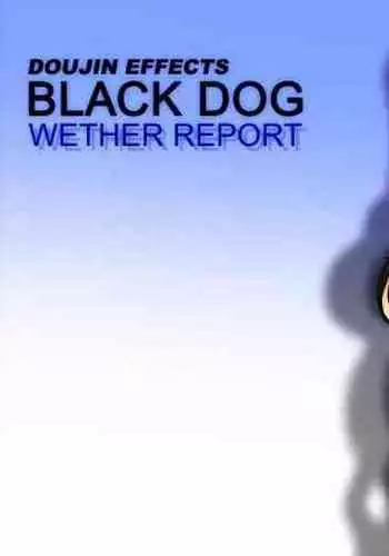 Weather Report