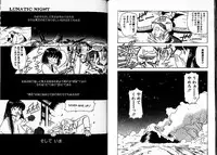 [Mii Akira] Lunatic Night 3