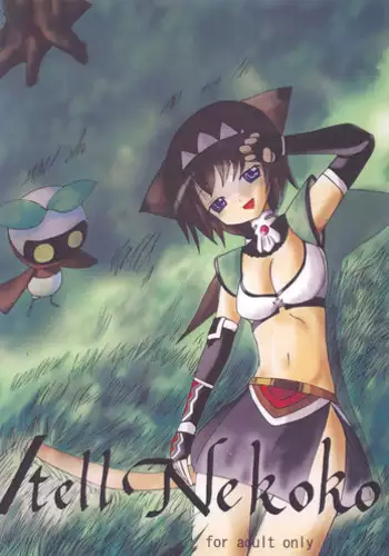 (C71) [Wildcat Pirates (MARIMON)] UraVanatic 3 (Final Fantasy XI)