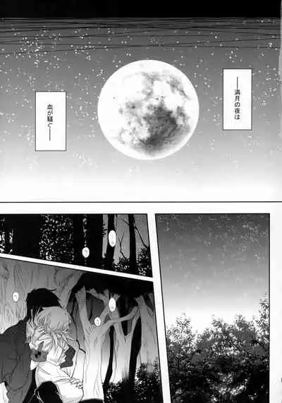 (C95) [S.clock+ (Kurobe Tomo)] Bloody Soul Lover 2 (Hellsing)