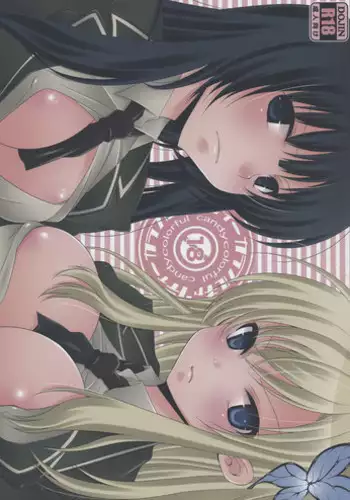 定期的に仲直りエッチしている喧嘩ップル