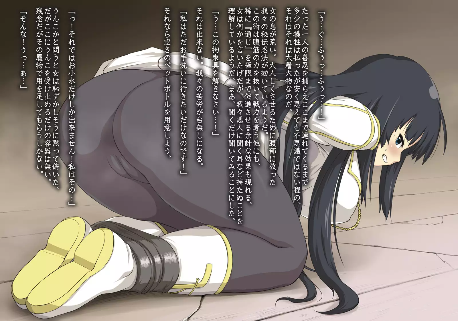 Ikaruga-san 2