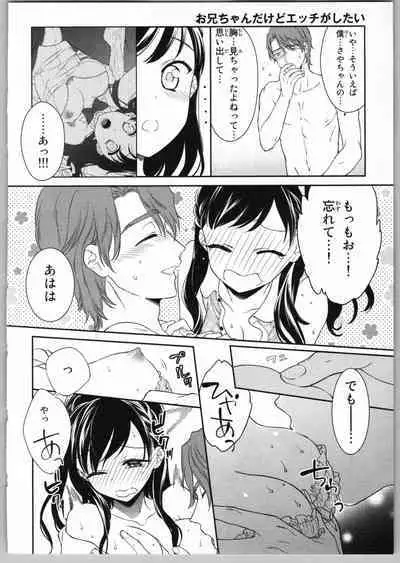 Onii-chan dakedo Ecchi ga Shitai