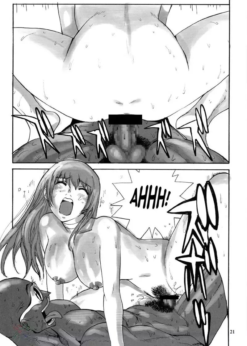 Dead or Alive X Survivor