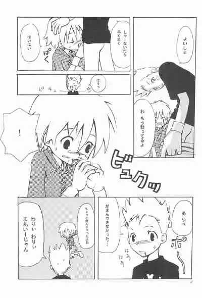 ANALOG COMMUNICATION