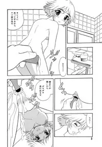 Flamingo R Vol.04