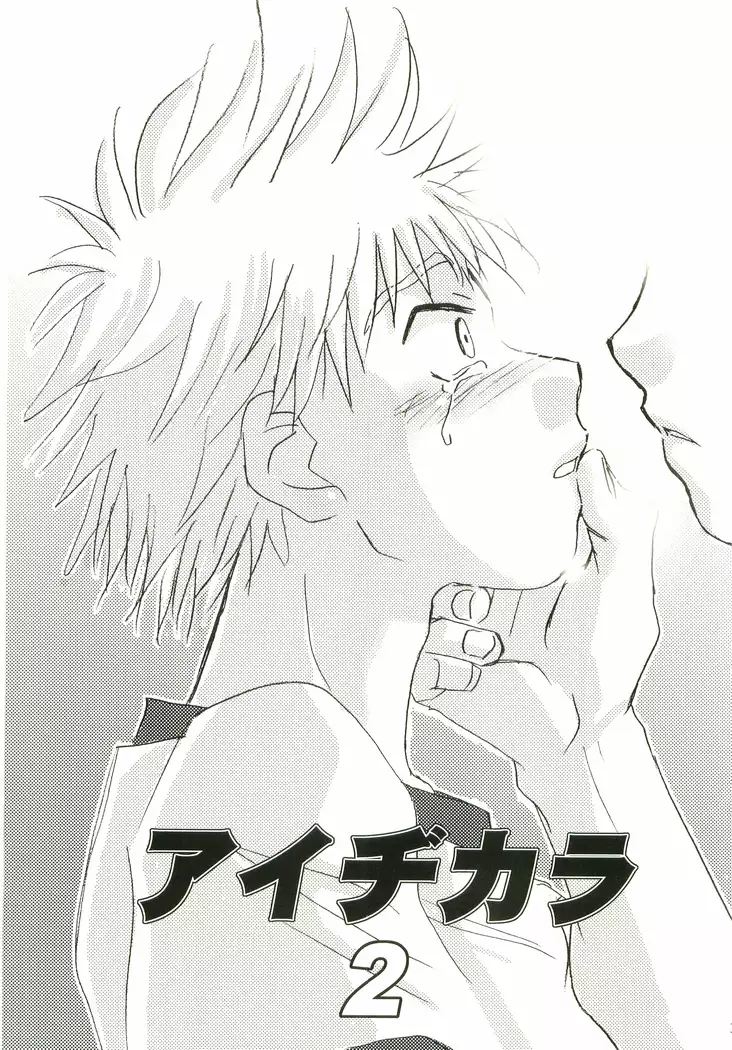 Aidikara Love Force 2