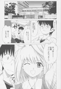 (C63) [Crazy Clover Club (Shirotsumekusa)] Tsukihime Complex (Tsukihime)