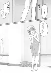 (SHT2012 Haru) [Kairaku Shuudan (Katou Kakashi)] if ~Aiefu~ Sono 1 (IS <Infinite Stratos>)