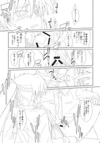 (C73) [CHICKEN Shark (Kurosyo)] Signum→Funclub (Magical Girl Lyrical Nanoha)