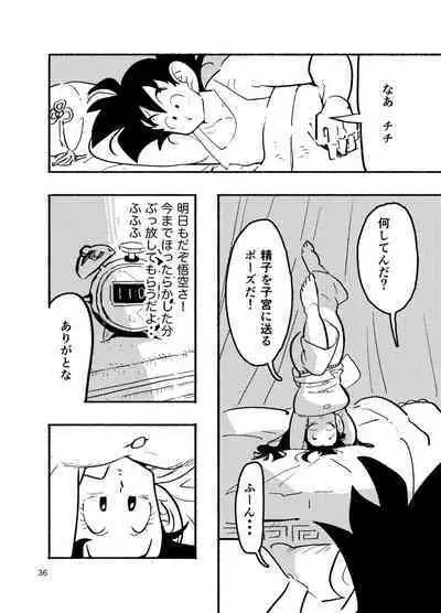 Dragon Ball Fanbook GokuxChihci