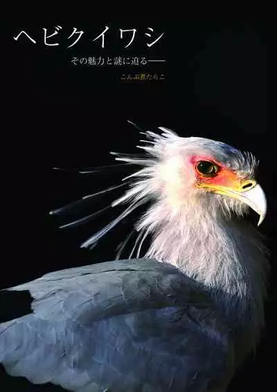 may Kemono Friends Thre Goudoushi 2