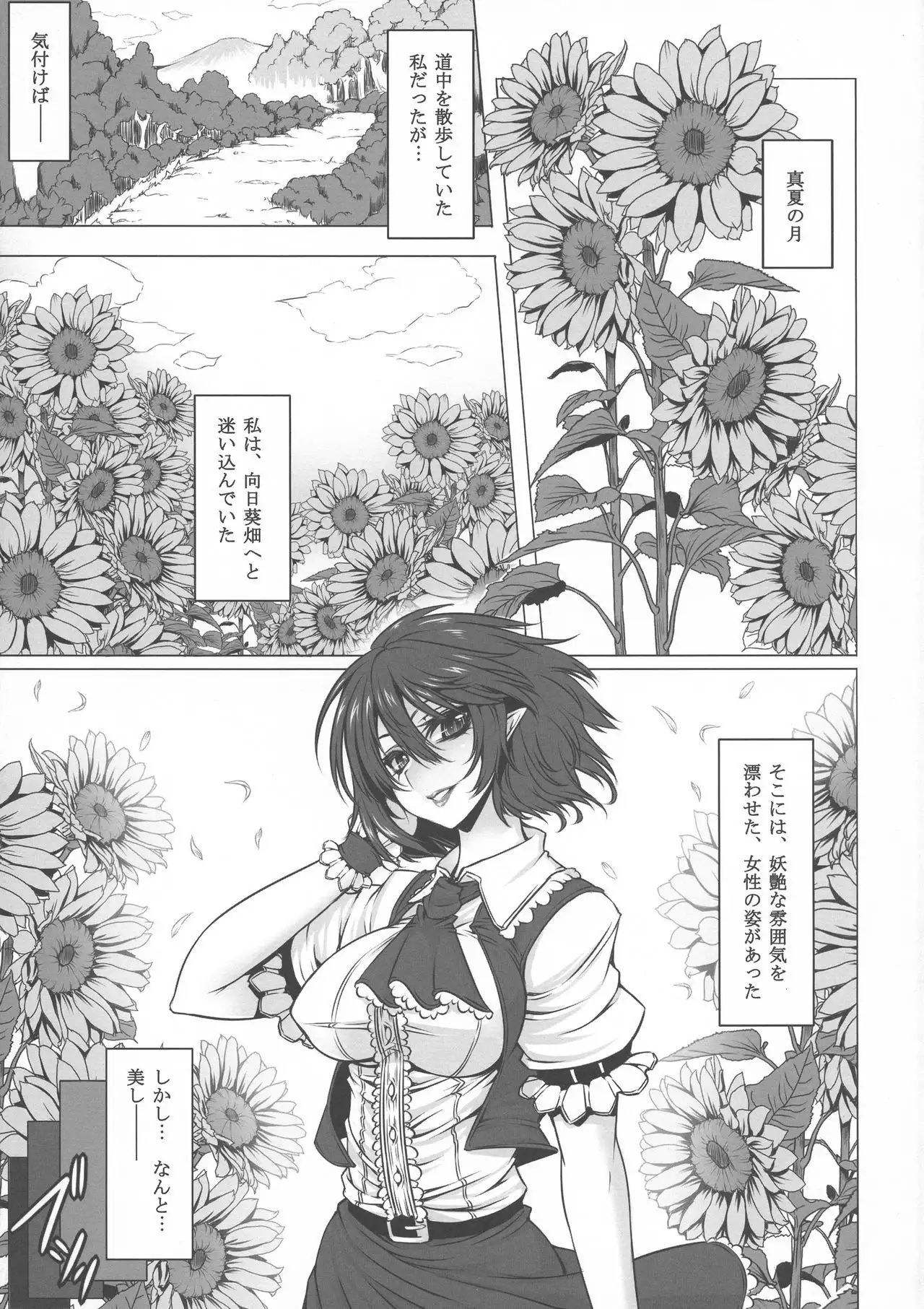 Yume no Kyoukai Soushuuhen