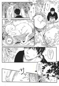 Silver Dream (Gintama)