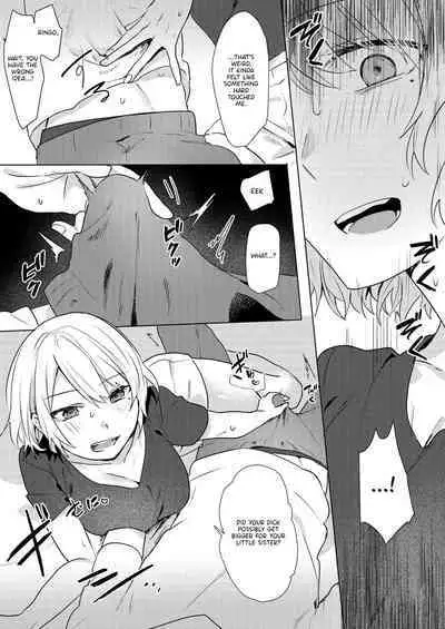 Oniichan Yuwaku Keikaku | A Plan to Seduce My Onii-chan