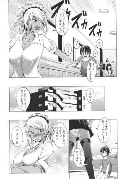 Nikushoku Joshi wa Shoudoubutsu ga Osuk