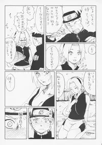 (SC29) [PETS (rin, kuro, may)] Nisemono (Naruto)