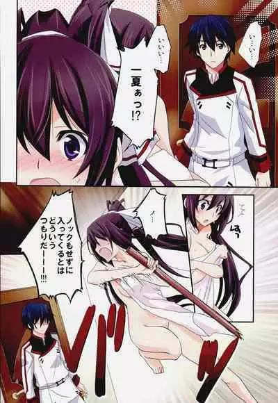 Burst Up! Infinite Stratos FAN BOOK