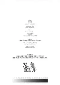 (C74) [Niku Ringo (Kakugari Kyoudai)] NIPPON PRACTICE (Street Fighter)