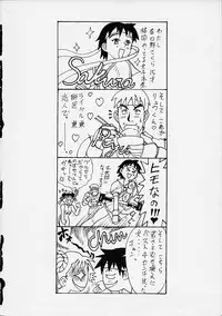 (C50) [St Ruger Power (D. Hiranuma)] Grapple Smasher Zero 2 (Street Fighter)