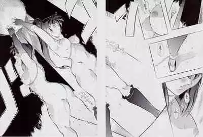 Ai & Mai D.S III