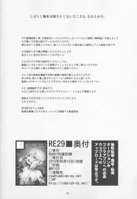 RE29