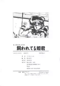 [Irotsuki Sakari] Kawareteru Himegimi