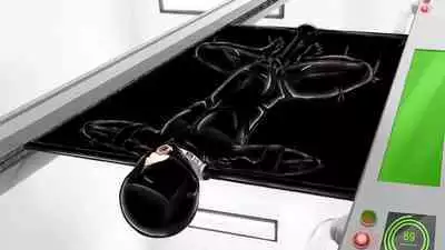 Beginning black M