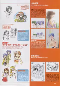 Super Real Mahjong Visual Fan Book Perfect Collection