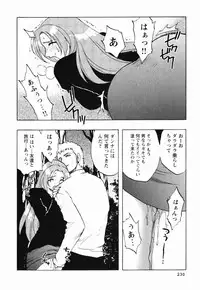[Maeda Sengoku] Mrs. Link