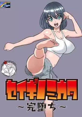 Seigi no Mikata