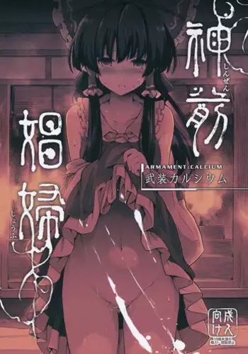 (C91) [Armament Calcium (Take Calcium)] Shinzen Shoufu (Touhou Project)