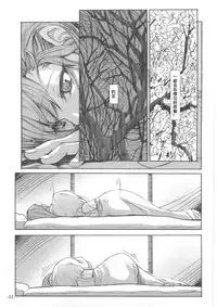 Fate/Final Fantasy(fate/stay night) (chinese)(xxx混合)