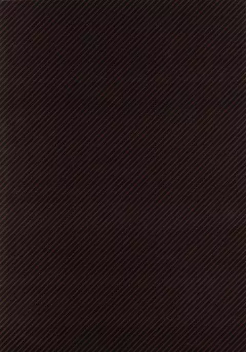 Painose Tokka Zone 2