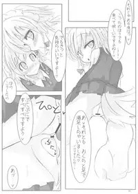 [Sweet Milk Shake (Tora)] Fuyashite Miru. (Touhou Project)